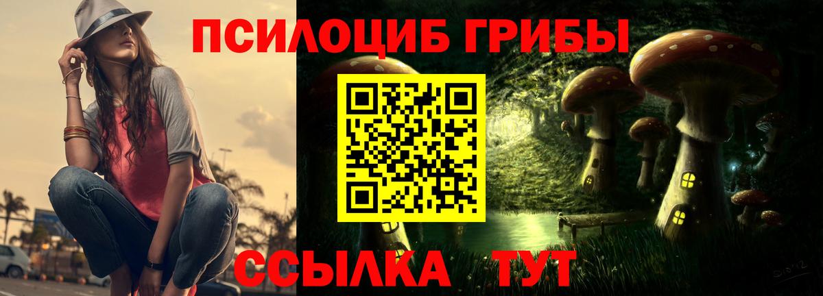 цена   Вход с VPN  Псилоцибиновые грибы Psilocybine cubensis  Шали  Псилоцибиновые грибы GOLDEN TEACHER 