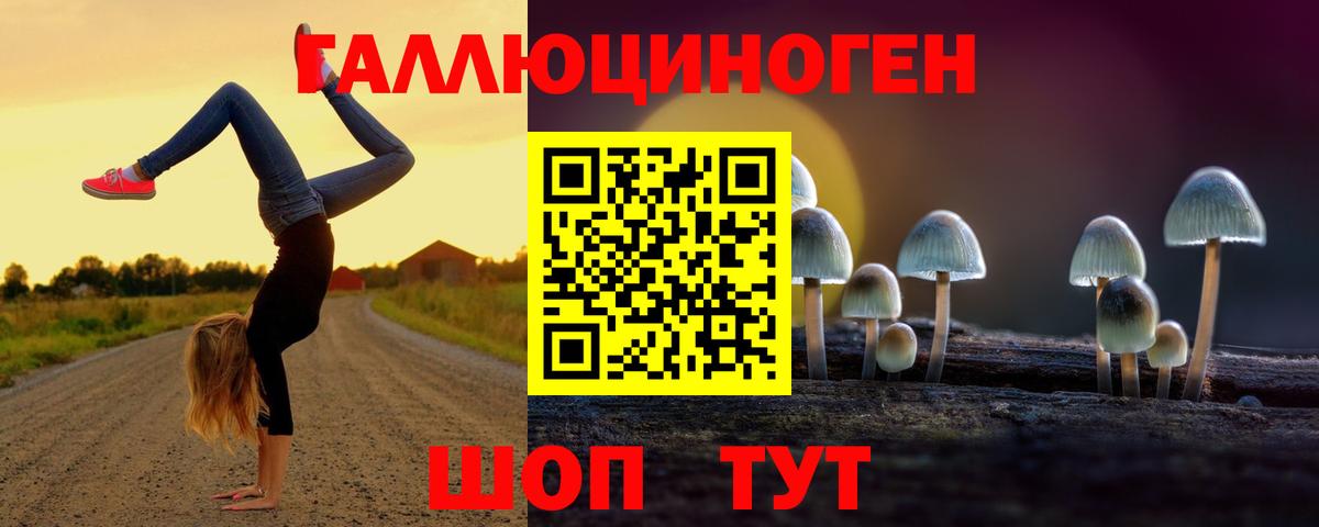 Псилоцибиновые грибы Psilocybe  Галлюциногенные грибы мухоморы  Шали 